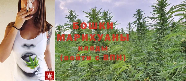ешки Мегион