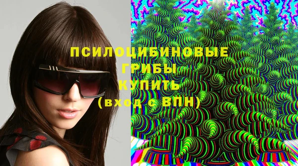ешки Мегион
